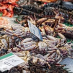 Zeevruchtenwonderland: Ontdek de overvloedige lekkernijen van de viskraampjes op de Boqueria-markt in Barcelona