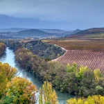 Wijngaarden in de provincie La Rioja in Spanje.