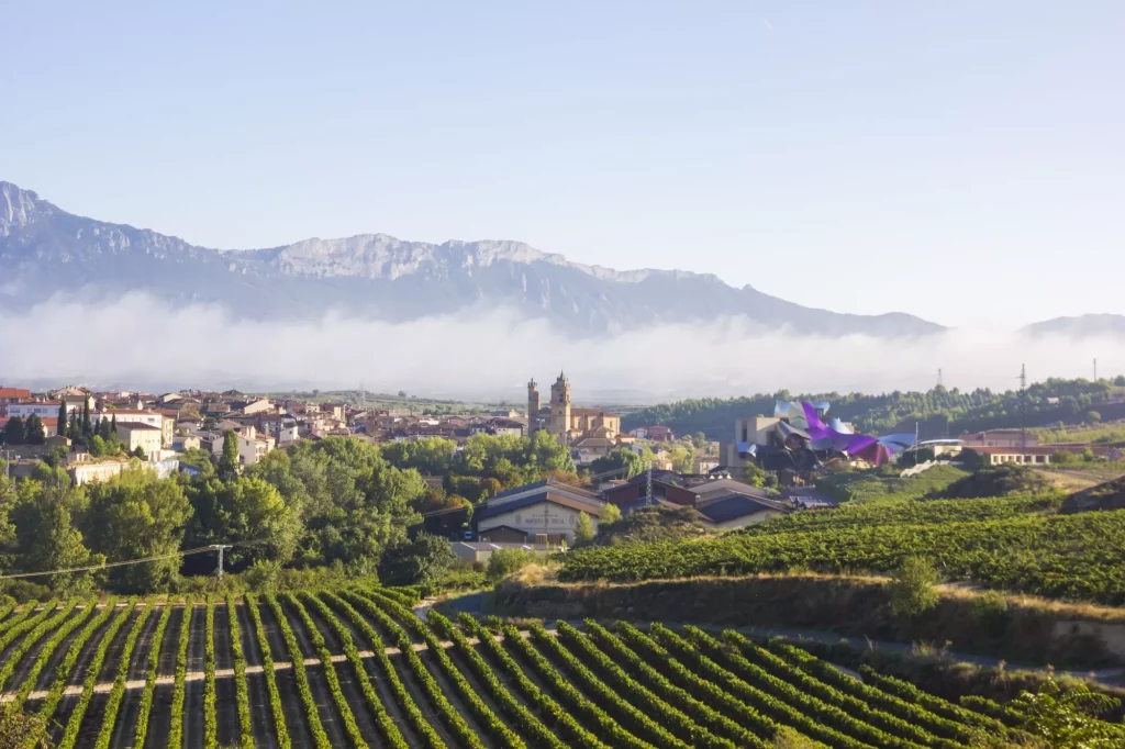 La Rioja is an autonomous community and a province in Spain, located in the north of the Iberian Peninsula. Its capital is Logroño. Other cities and towns in the province include Calahorra, Arnedo, Alfaro, Haro, Santo Domingo de la Calzada, and Nájera. It covers part of the Ebro valley towards its north and the Iberian Range in the south. The region is well known for its wines under the brand Denominación de Origen Calificada Rioja.