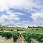 Girl with a yellow dress entering some vineyards with a blue sky painted with clouds and a colorful landscape