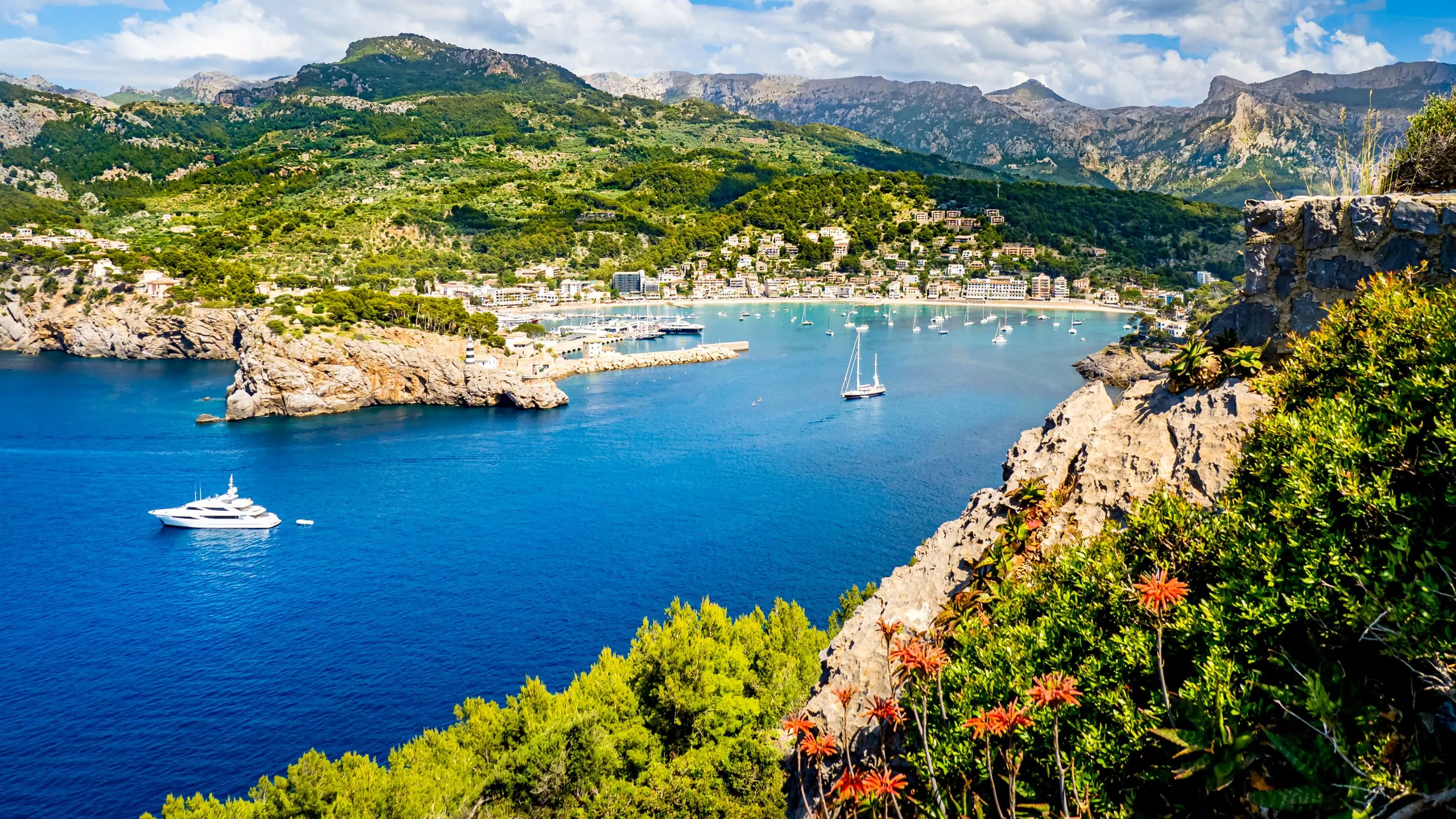 Panorama of Port Soller Mallorca with mountain peak Puig de la Bassa, marina Tramontana, beaches Platja de Can Generos and Platja des Traves from left to right with boulder and flowers in foreground.