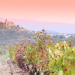 Wijngaarden in de provincie La Rioja in Spanje.